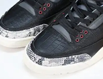CV3583-003 3 “ANIMAL SE INSTINCT JORDAN AIR 2.0” 0619